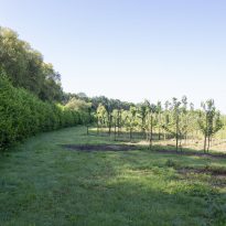 Zonnepark_Wijkerbroek_-_featured_image