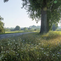 LC Energy locatie Zonneveld Wijkerbroek