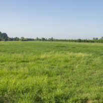 Weilanden nabij LC Energy Zonneveld Wijkerbroek