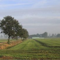 zicht op plangebied richting Amerongerwetering